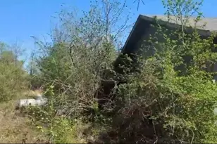 18839 Texas Hwy 11 E, Winnsboro, TX 75494 - Photo 8