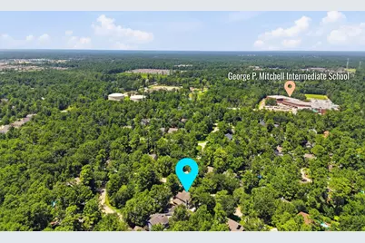 106 Autumn Branch Drive, The Woodlands, TX 77382 - Photo 32