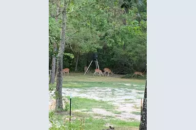 10366 Happy Trail, Conroe, TX 77384 - Photo 34