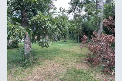 7910 Laura Koppe Road, Houston, TX 77028 - Photo 6