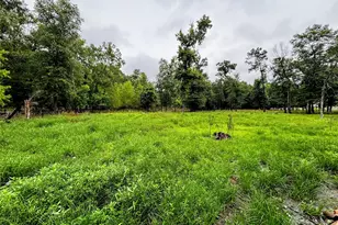 214 Mills Dr, Livingston, TX 77351 - Photo 30