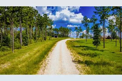 219 Big Buck Drive, Moscow, TX 75960 - Photo 2