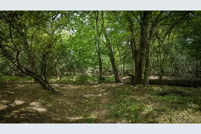 Tract 2 Tbd Mensik Rd, Bryan, TX 77808 - Photo 10