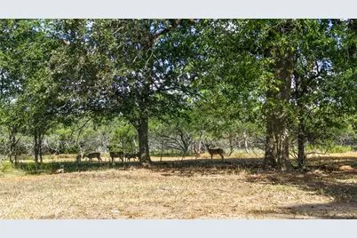 Tract 2 Tbd Mensik Rd, Bryan, TX 77808 - Photo 6