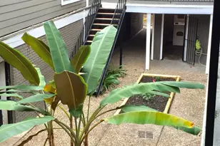 502 W Alabama St, Houston, TX 77006 - Photo 1