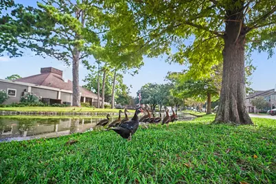 5801 Lumberdale Road #78, Houston, TX 77092 - Photo 34
