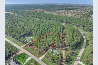 15929 Wood Grove Way, Willis, TX 77378 - Photo 2