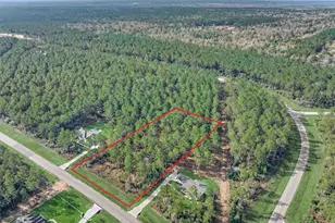 15929 Wood Grv Wy, Willis, TX 77378 - Photo 2