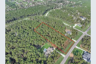 15929 Wood Grove Way, Willis, TX 77378 - Photo 6