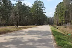 25515 Cambridge Blvd, New Caney, TX 77357 - Photo 6