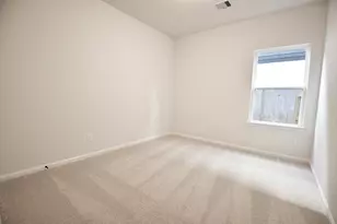 8302 Red Shiner Wy, Fulshear, TX 77441 - Photo 28