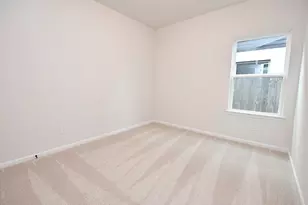 8302 Red Shiner Wy, Fulshear, TX 77441 - Photo 26