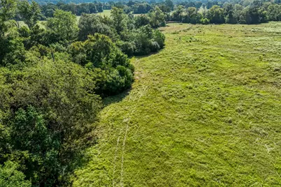 31 Pee Dee Lane Lane, Madisonville, TX 77864 - Photo 6