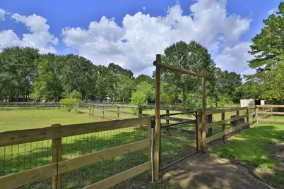 30820 Collier Smith Road, Magnolia, TX 77354 - Photo 46