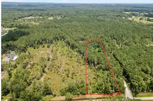 Tbd Pelican Rd, Shepherd, TX 77371 - Photo 1