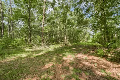 1706 County Road 3011, Dayton, TX 77535 - Photo 6