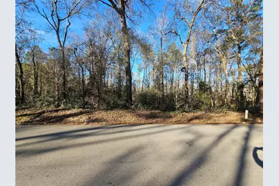 Lot 3 Sherwood Drive, Shepherd, TX 77371 - Photo 2
