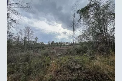 1 County Road 3038, Newton, TX 75966 - Photo 8