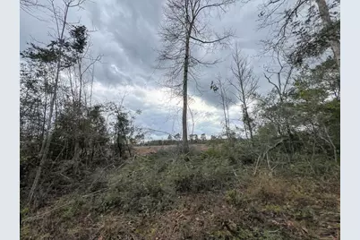 1 County Road 3038, Newton, TX 75966 - Photo 4