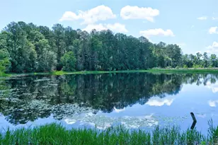 15771 1st St, Splendora, TX 77372 - Photo 38