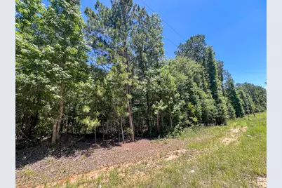 17 Union Springs Road, Corrigan, TX 75939 - Photo 4