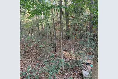 476 E Slumberlane Drive, Livingston, TX 77351 - Photo 16