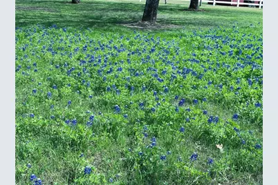 231 Hostetter Rd, New Waverly, TX 77358 - Photo 38