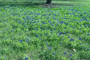 231 Hostetter Rd, New Waverly, TX 77358 - Photo 38