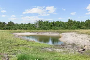 Tbd W Fm 1291 Tract 1, Round Top, TX 78954 - Photo 1