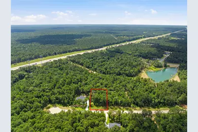 222 Hollow Hill Drive, New Waverly, TX 77340 - Photo 2