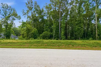 222 Hollow Hill Drive, New Waverly, TX 77340 - Photo 4