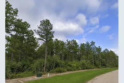 15729 Forest Grove Drive, Willis, TX 77378 - Photo 2