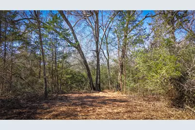 Tbd Cr 327, Milano, TX 76556 - Photo 22