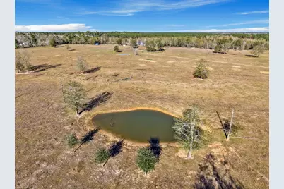 9789 N Walker Road, Cleveland, TX 77328 - Photo 10