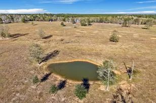 9789 N Walker Rd, Cleveland, TX 77328 - Photo 10