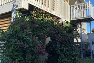 246 Debbie Ln, San Leon, TX 77539 - Photo 18