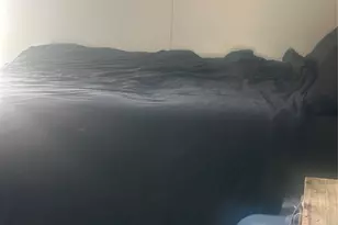 23269 High Pt St, Prairie View, TX 77445 - Photo 12