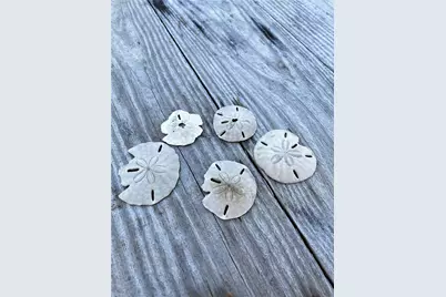 13130 Gulf Beach Drive, Freeport, TX 77541 - Photo 38