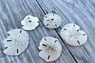 13130 Gulf Beach Dr, Freeport, TX 77541 - Photo 38