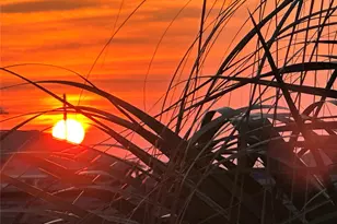 13130 Gulf Beach Dr, Freeport, TX 77541 - Photo 40