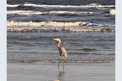 13130 Gulf Beach Drive, Freeport, TX 77541 - Photo 36