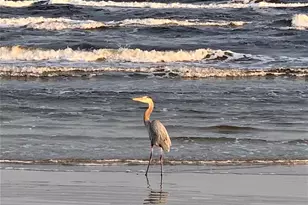 13130 Gulf Beach Dr, Freeport, TX 77541 - Photo 36