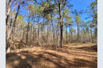 Tbd Fm 227, Kennard, TX 75847 - Photo 30