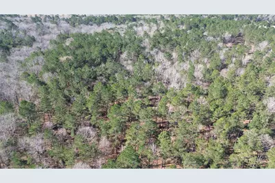 Tbd Fm 227, Kennard, TX 75847 - Photo 12