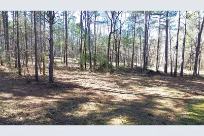 Tbd Fm 227, Kennard, TX 75847 - Photo 16