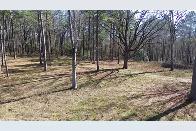 Tbd Fm 227, Kennard, TX 75847 - Photo 8