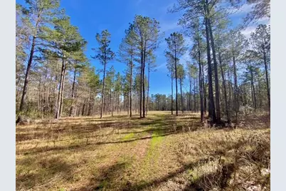 Tbd Fm 227, Kennard, TX 75847 - Photo 28