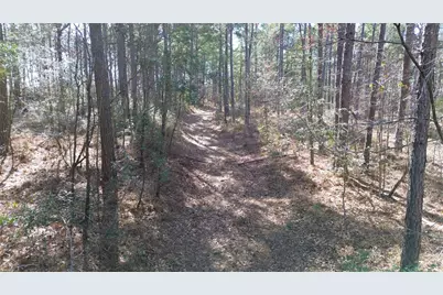 Tbd Fm 227, Kennard, TX 75847 - Photo 18