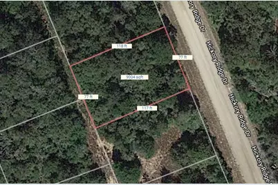 Lot 8 Hickory Ridge Drive, Normangee, TX 77871 - Photo 2