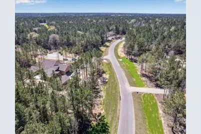 25349 High Meadow West Drive, Montgomery, TX 77316 - Photo 32